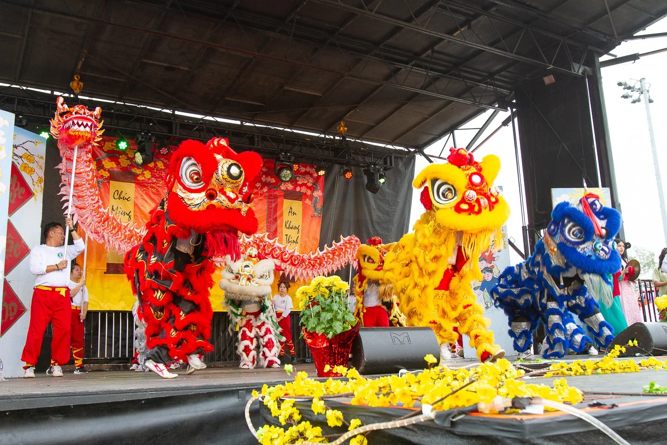 Lion dancers in red and yellow costumes performing on stage at the Tet Festival, surrounded by marigolds and traditional decorations.